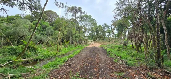 Terreno rural à venda em Tijucas do Sul