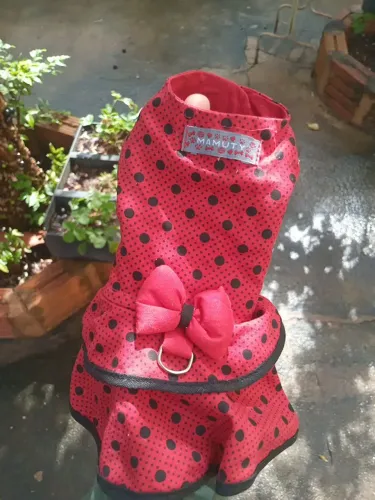Roupinha decorativa para cachorro de pequeno porte