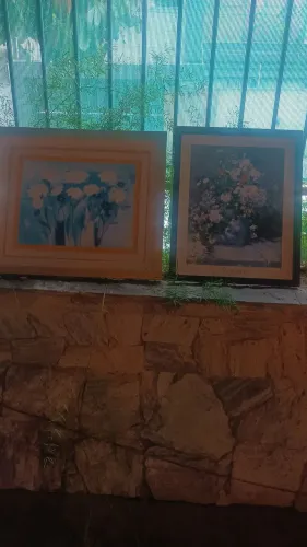 Coleção quadros tudo 500.00