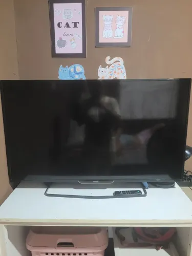 Vendo TV Philips + Fire Fox - para retirar peças