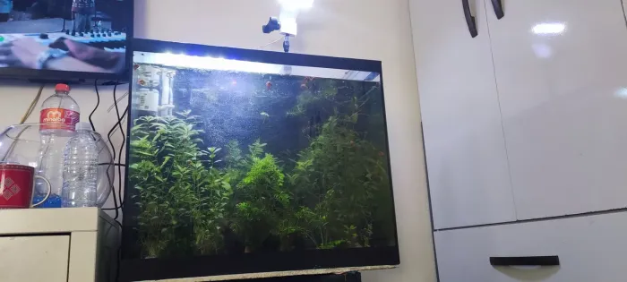 Aquário Com Sump 140lt