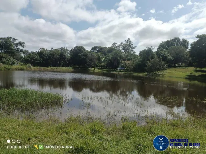 Chácara à venda em Matrinchã, Goiás  15 Alqueires