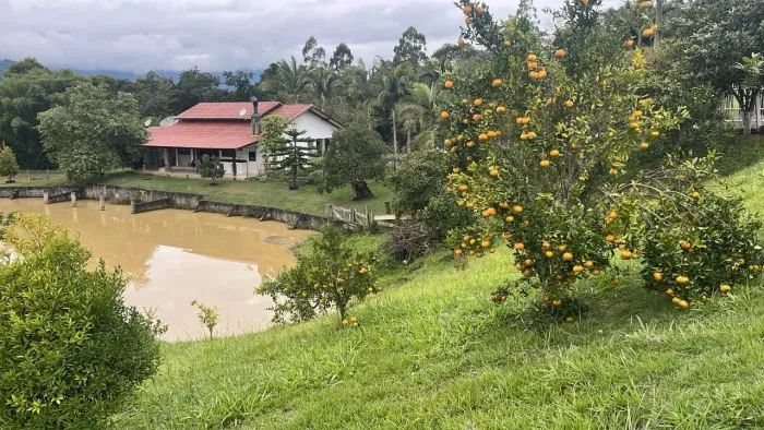Vende-se Sitio em Lontras