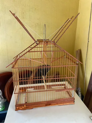 Gaiola caseira de alçapão
