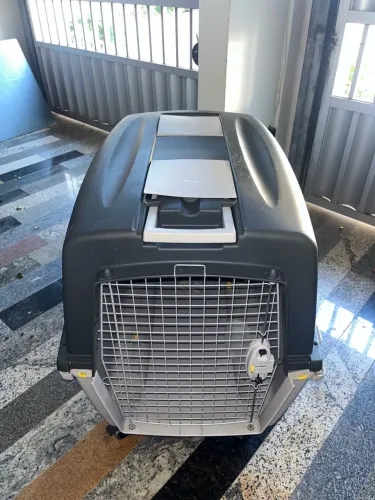 Caixa de transporte Pet N7 - cães de grande porte
