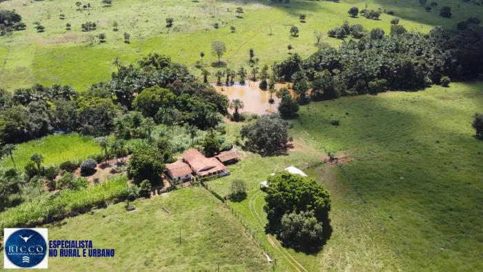 Fazenda à Venda em Santa Fé de Goiás 53 Alqueires | Lavoura e Pecuária