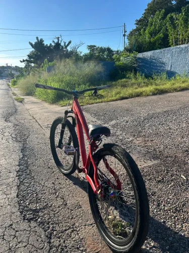 Bike VIKINGX aro 26