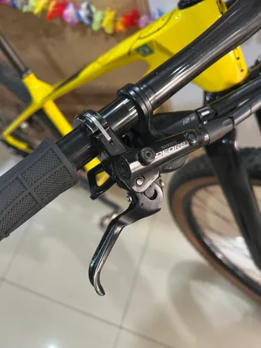 Bike 29 Focus raven