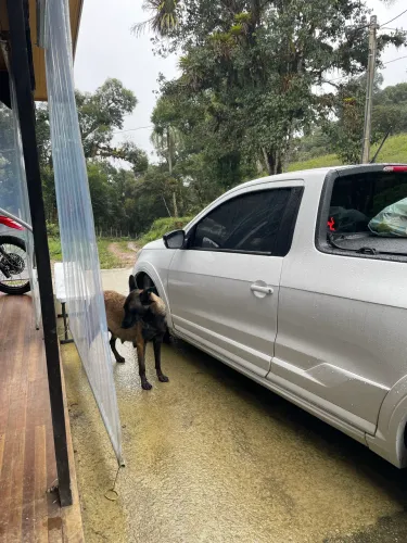 Volkswagen Saveiro Trendline 1.6 T.flex 8V 2015