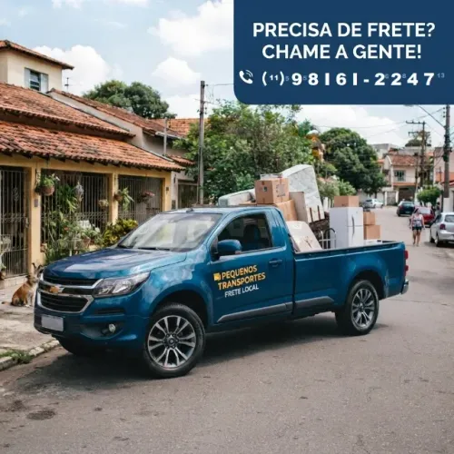 Transportes e coletas