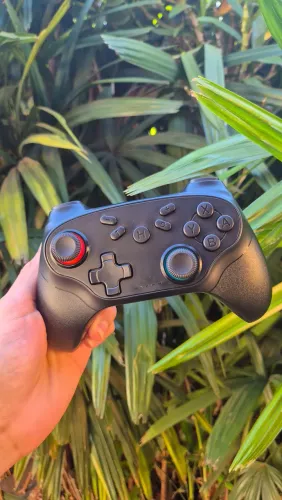 Controle Nintendo Switch