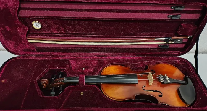 Violino Michael semi-novo