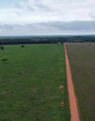 Fazenda à Venda em Barra do Garças - 4.644 Hectares  | Dupla Aptidão