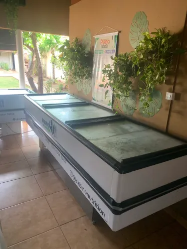 Ilha De Congelados Dupla Ação Com LED ICED820V 820 Litros Fricon Preto 220V