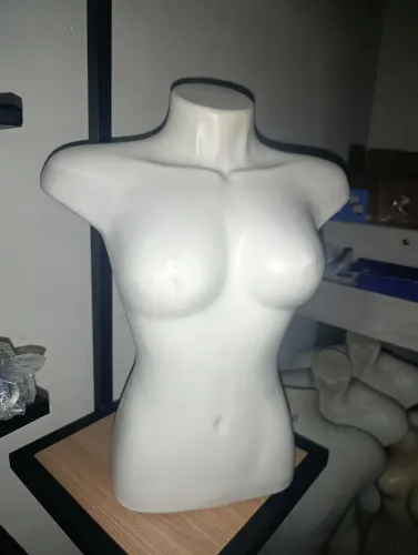 Manequim (kit 6 dorso e 1 corpo inteiro)