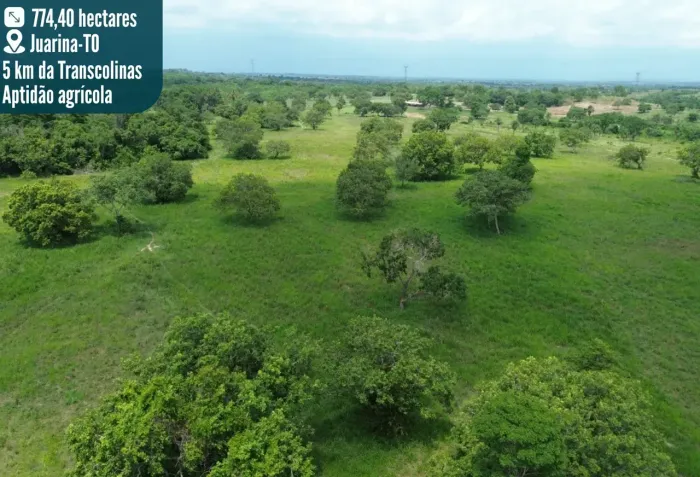 FAZENDA 160 ALQUEIRES | 580 HA FORMADOS | PECUÁRIA PRONTA