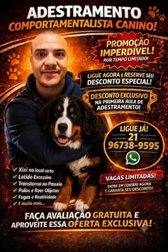 Adestramento Canino