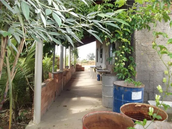 Sitio de 1.000metros toda plantada com vários pés de frutas. WhatAap * Guilherme