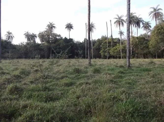 Lindo baixado 80.000m² com luz, rio nos fundos, mata nativa, Jaboticatubas.