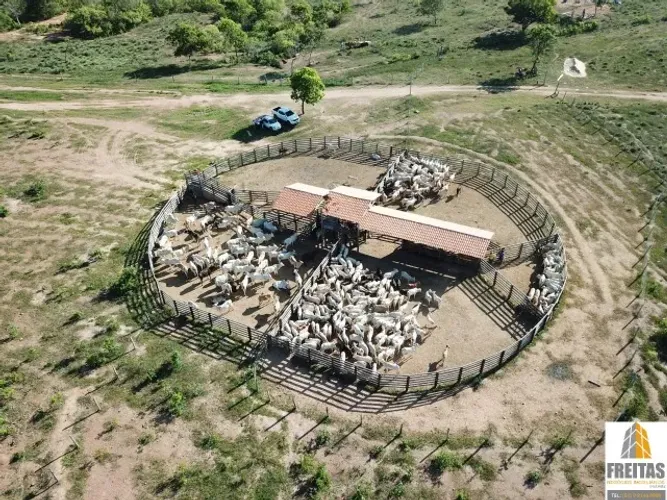 Fazenda 4.700 ha Urucuia-MG Irrigação p/ até 2.300 ha Pecuária, Agricultura e Pista pouso