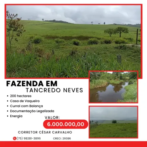 FAZENDA NO MUNICÍPIO DE TANCREDO NEVES - 200 HECTARES