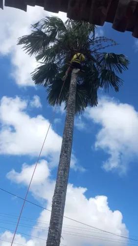 Poldas e limpeza de coquinho