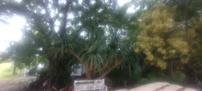 Loja de plantas