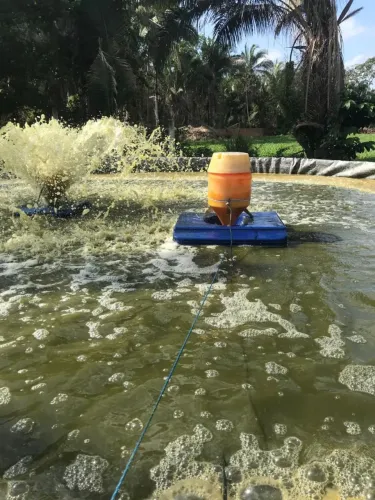 Aerador da piscicultura, marca agricotec 1.cv monofásico