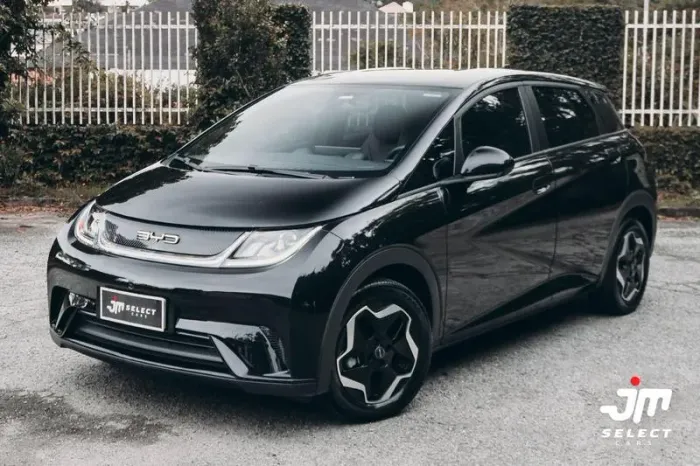 BYD Dolphin GS (Elétrico) 2024