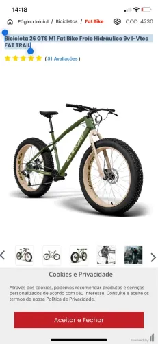 Bicicleta Fat 