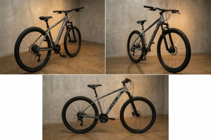 Bicicleta Aro 29