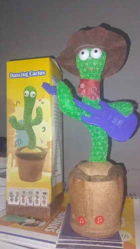 Vendo Cacto Dançante