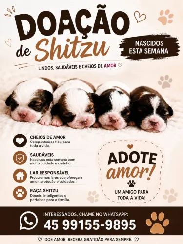 Doa-se shitszu 