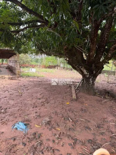 Chácara com 3 dormitórios à venda, 2400 m² por R$ 300.000 - Ferreiro Torto - Macaíba/RN