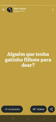 Procuro gatinho macho filhote para adoção