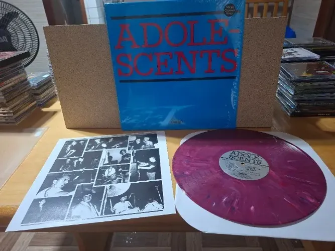 Disco de Vinil - Punk Rock