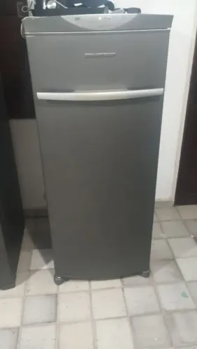 Freezer Frost Free 276L