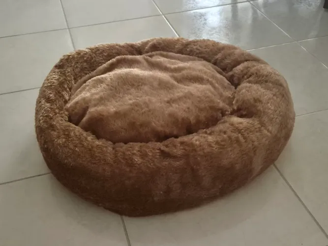 Caminha para pet