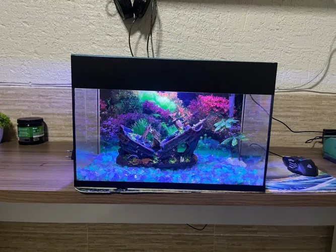 Aquário 22 litros com led 