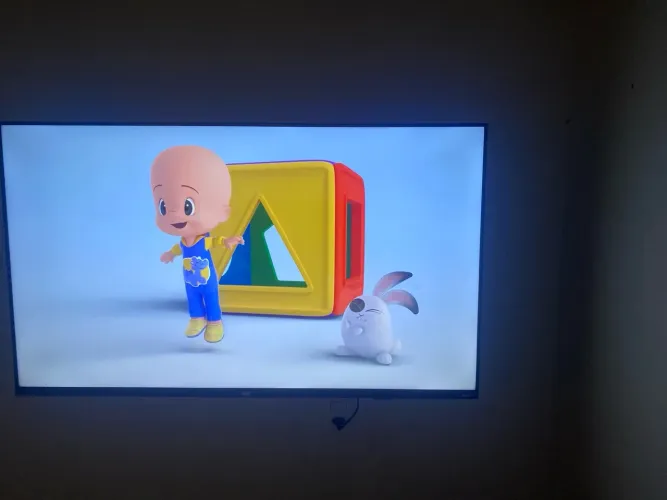 Televisão