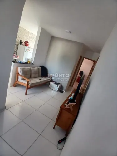 Apartamento com 2 quartos em Pau Amarelo