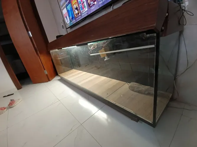 Aquário/terrário