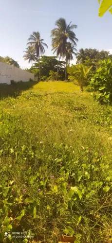 Vendo terreno a beira mar