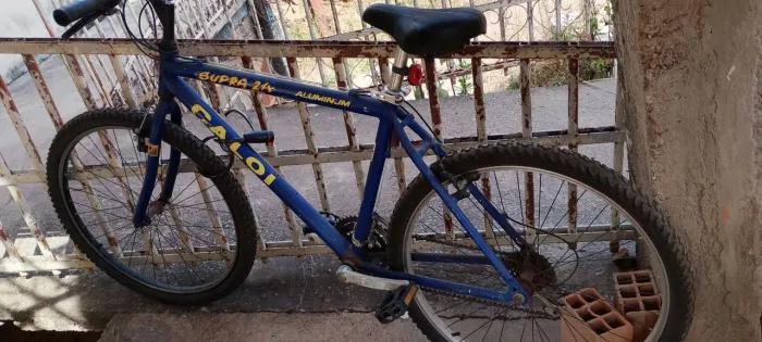 Bicicleta