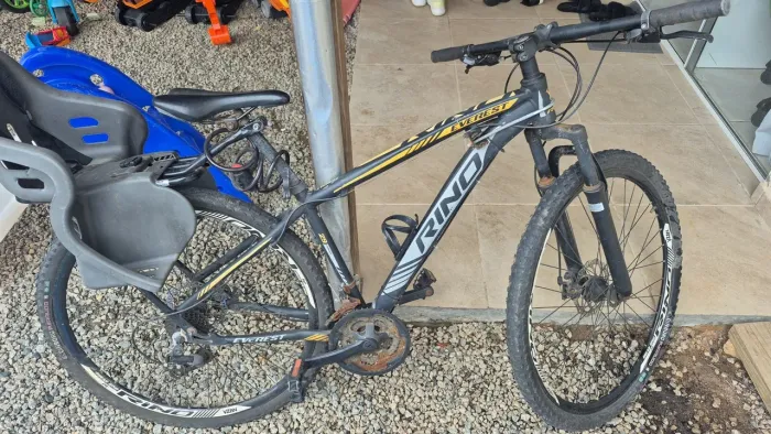 Bike com duas cadeirinha 