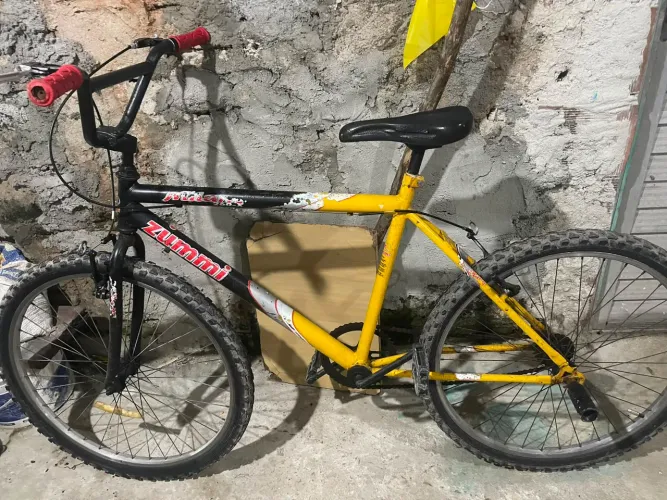 Bicicleta