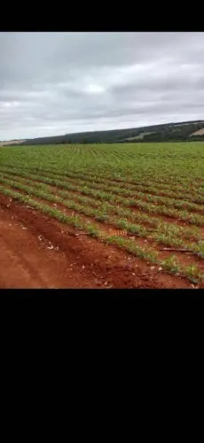 Fazenda à venda, 200 Alqueires por R$ 60.000.000 - Itapeva/SP