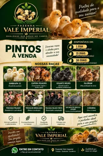 Pintos
