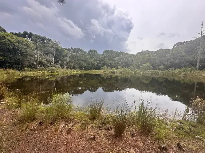 Sítio à venda em São Francisco de Paula - Estudamos propostas!