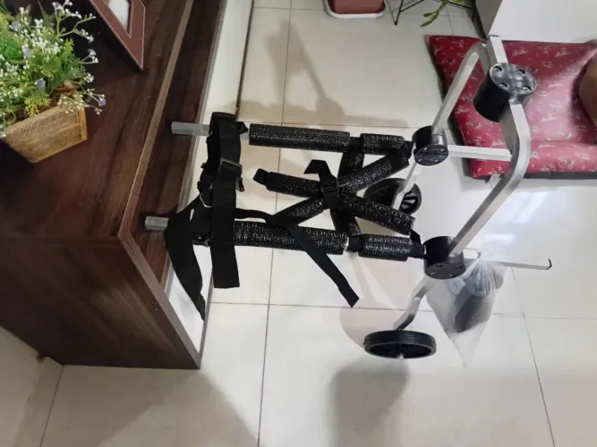 Cadeira de rodas canina